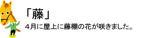 2009年4月