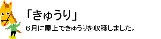 2009年6月