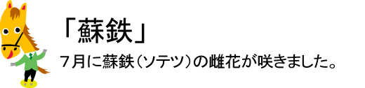 2009年7月