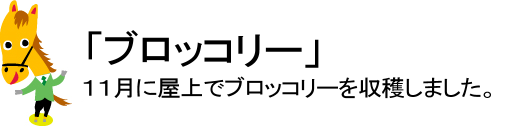 2009年11月