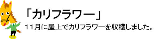2009年11月