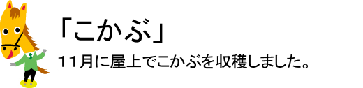2009年11月