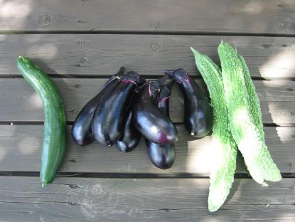 お野菜