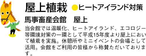 屋上植栽