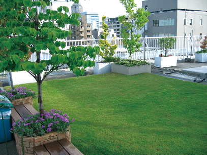 屋上植栽