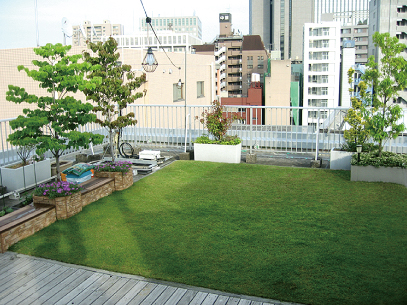 屋上植栽
