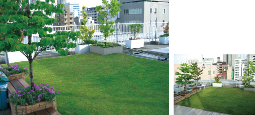 屋上植栽